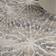 Nourison Sleek Textures Beige, White 63x87"