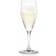 Holmegaard Perfection Champagneglass 23cl 6st