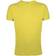 Sol's Regent Slim Fit Short Sleeve T-shirt Mens