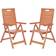 Safavieh Rence 2-pack Garden Dining Chair