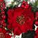 Nearly Natural Poinsettia Wreath Decoration 24"