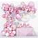 Balloon Arches Baby Shower Decorations