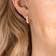 Swarovski Hoop Earrings - Rose Gold/Transparent