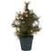 House Doctor Pinus Juletre 30cm