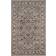 Safavieh Antiquity Gray, Beige 24x36"