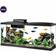 Standard Glass Rectangle Aquarium 208L