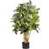 Nearly Natural Croton Decoration 36"