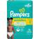 Pampers Swaddlers Active Baby Diapers Size 5 12+kg 19pcs