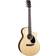 Martin Guitars SC-10E