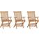 vidaXL 315444 3-pack Garden Dining Chair