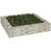 vidaXL Gabion Raised Bed 100x100x20cm