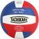 Tachikara Institutional Quality Composite Leather Volleyball