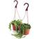 Shop Succulents Large Hanging Succulent Duo Pot 2-pack