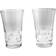 Baccarat Beluga Drinking Glass 2