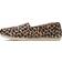 Toms Alpargata - Beige Classic Leopard