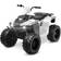 Kidzone ATV 12V