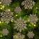 Snowflake Christmas Tree Ornament 1.3" 36