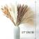 ANPROOR Dried Pampas Grass White/Brown Decorative Item