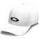 Oakley Trucker Ellipse Cap