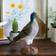 Wildlife Garden DecoBird Stock Dove Dekofigur 25.4cm