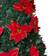 Northlight 6-ft Pre-Lit Poinsettia Slim Artificial Christmas Tree 72"