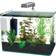 Penn Plax Radius Curved Corner Glass Aquarium Kit 5 Gallon