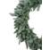 Northlight Washington Frasier Decoration 24"