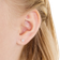 Blomdahl Alexandrite Earrings - Silver/Transparent