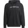 Adidas Terrex Large Logo Hoodie