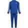 Adidas Signature Tracksuit - Team Royal Stripe Blue (AG5902)