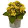 Nearly Natural Artificial Kalanchoe Arrangement Decorative Item 3