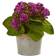 Nearly Natural Artificial Kalanchoe Arrangement Decorative Item 3