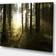 Design Art Early Morning Sun in Misty Forest Framed Art 40x30"