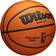 Wilson EVO NXT Africa League Indoor Basketball