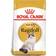 Royal Canin Ragdoll 2kg