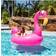 PoolCandy Motorized Float Flamingo