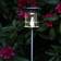 Star Trading Solar Energy Path Light Bakkebelysning 64.5cm