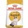 Royal Canin Ragdoll Adult 10kg