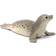 Schleich Seal 14801