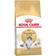 Royal Canin Norwegian Forest Cat 0.4kg