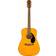 Fender Westerngitarre CD-60S Exotic Dao Limited