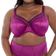 Goddess Keira Banded Bra - Magenta