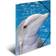 Herma Elasticated Folder A3 PP Dolphin