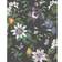 Fine Decor Sierra Black Floral Wallpaper