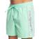 Quiksilver Men's Everyday Vert Swim Trunks - Beach Glass