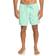 Quiksilver Men's Everyday Vert Swim Trunks - Beach Glass