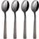 Aida Raw Dessert Spoon 5.5" 4