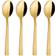 Aida Raw Dessert Spoon 5.5" 4