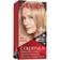 Revlon ColorSilk Beautiful Permanent Hair Color 73 Champagne Blonde 1 Count