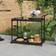 vidaXL Bar Cart 39.4"x17.7"x32.7" Poly Outdoor Side Table